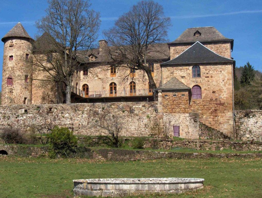 Chateau De Salelles Banassac Eksteriør billede