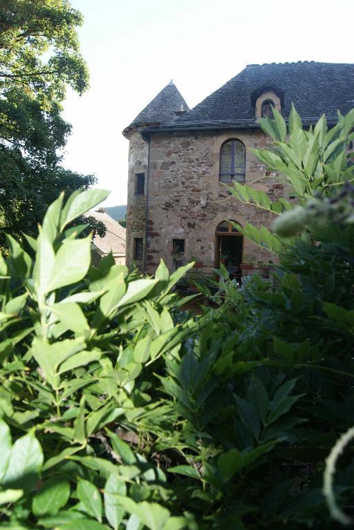 Chateau De Salelles Banassac Eksteriør billede