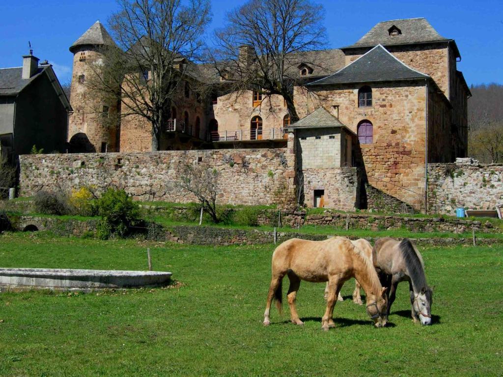 Chateau De Salelles Banassac Eksteriør billede